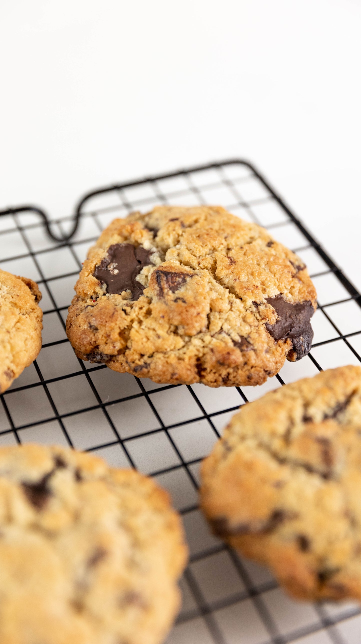 CHUNKY- CLASSIC CHOC CHIP COOKIE
