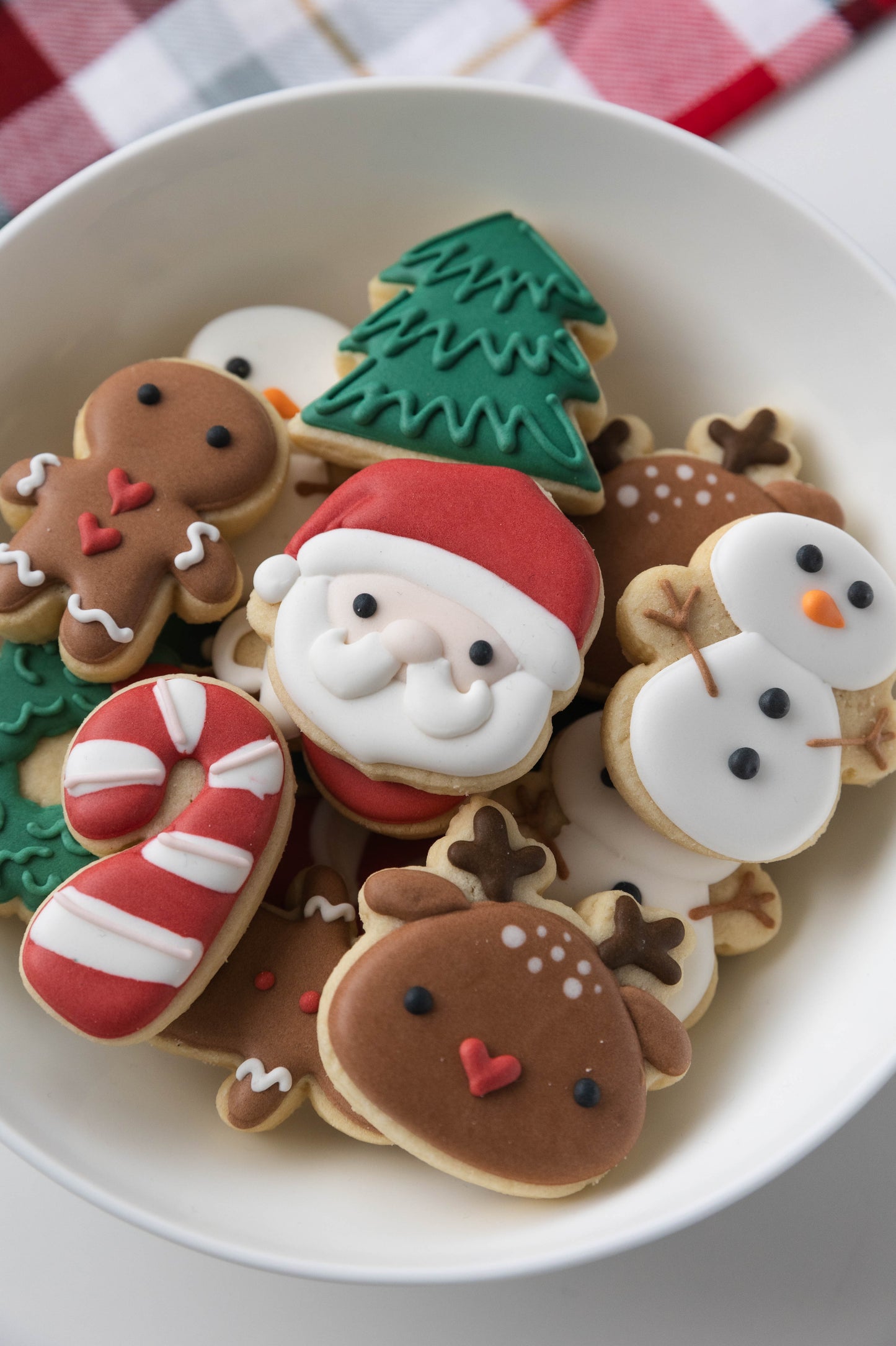 MINI SANTA & FRIENDS COOKIES