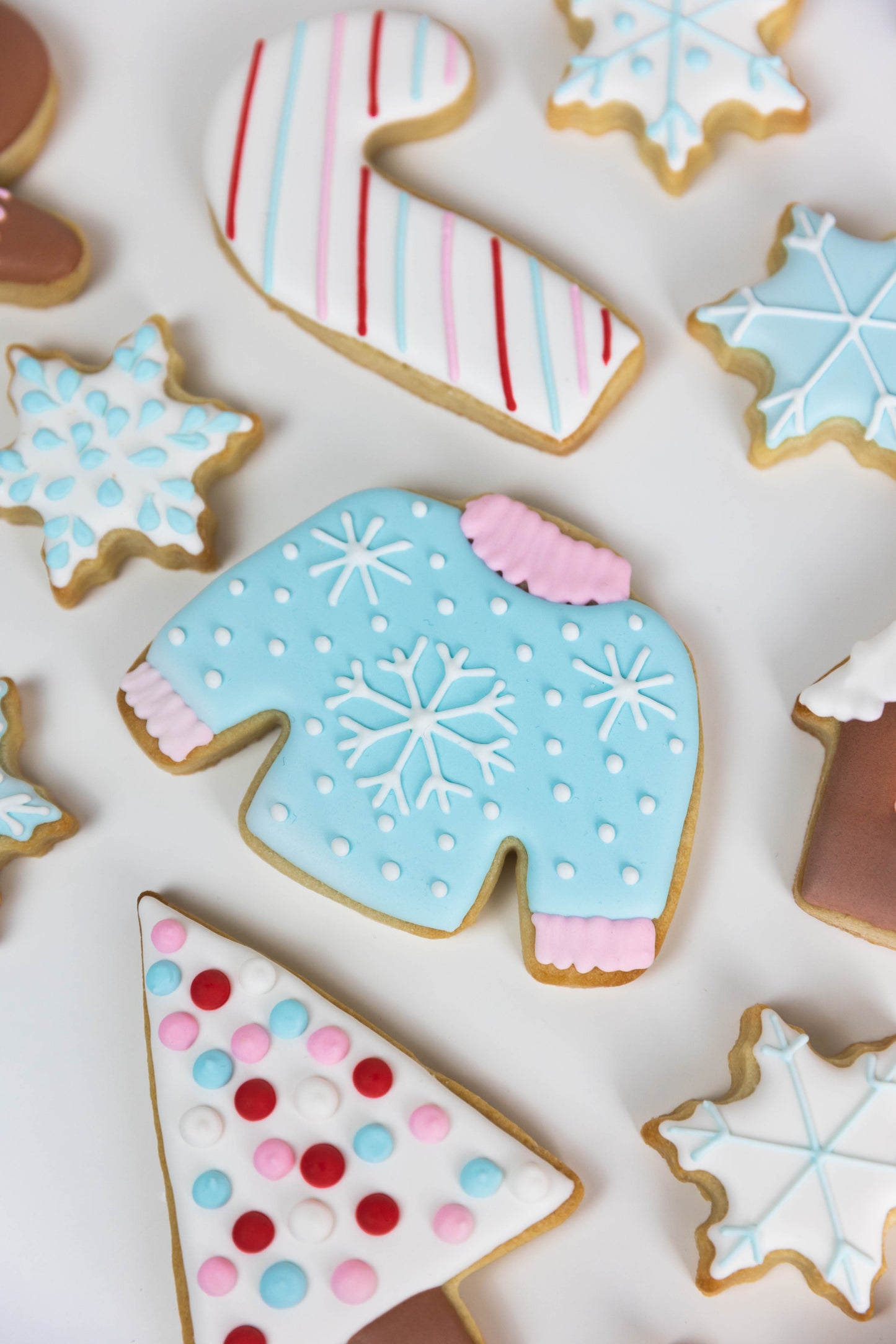 SWEET GINGERBREAD THEME COOKIES