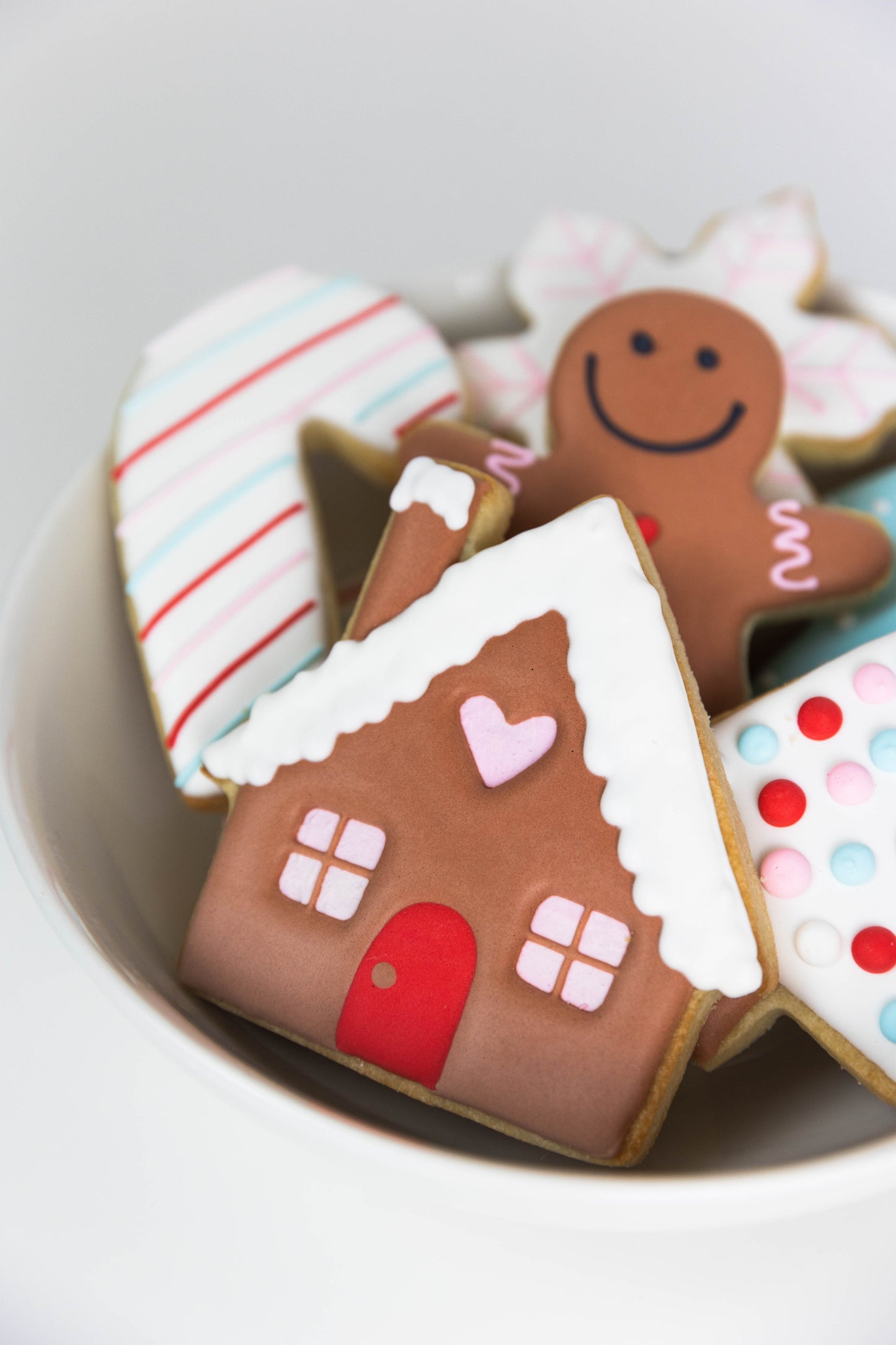 SWEET GINGERBREAD THEME COOKIES