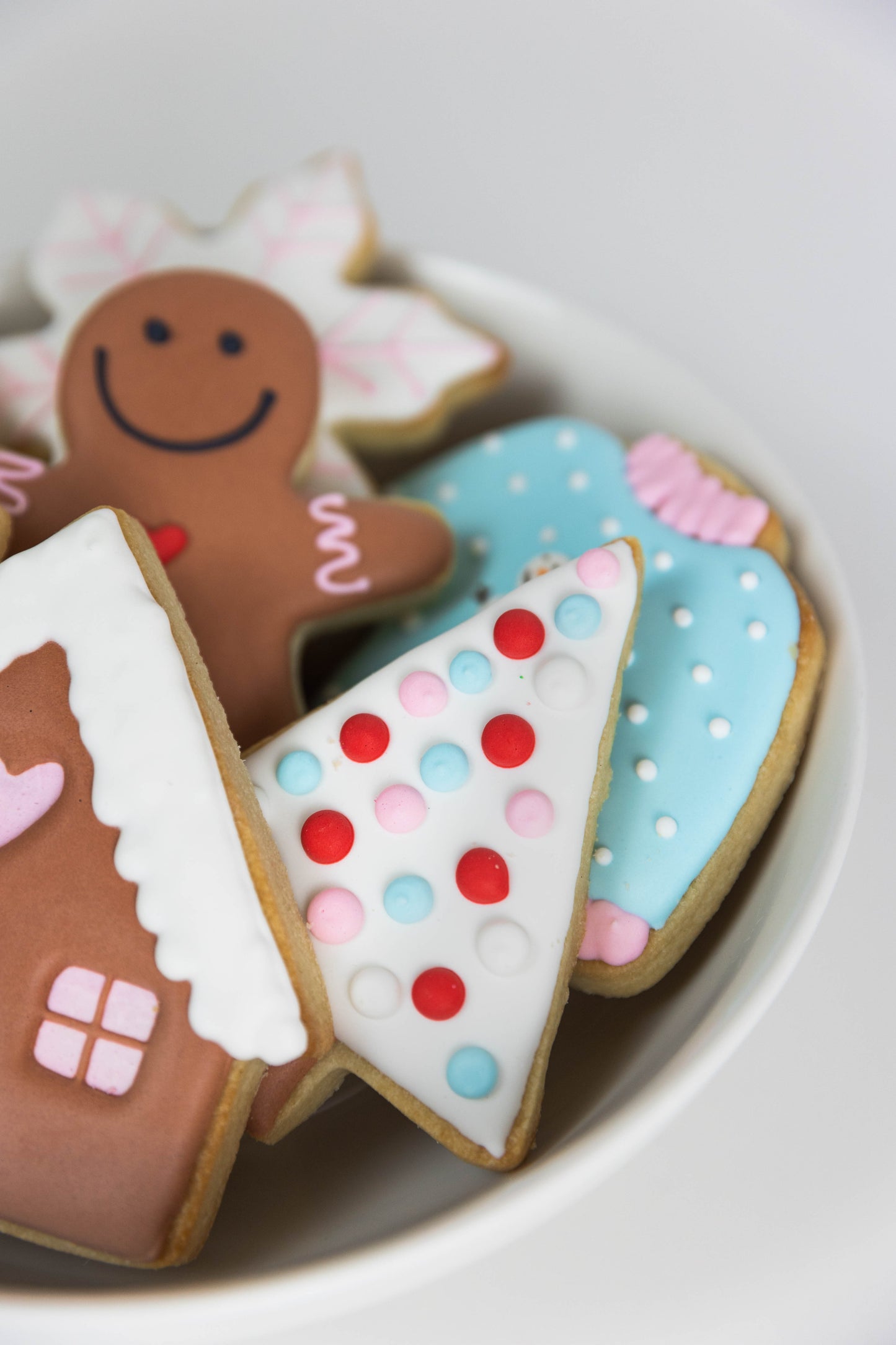 SWEET GINGERBREAD THEME COOKIES