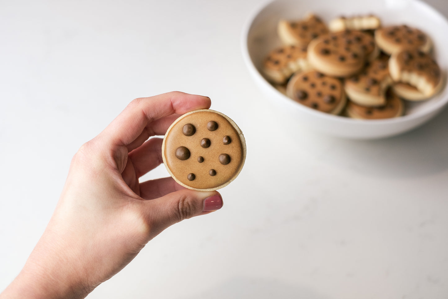 MINI CHOC CHIP COOKIE COOKIES