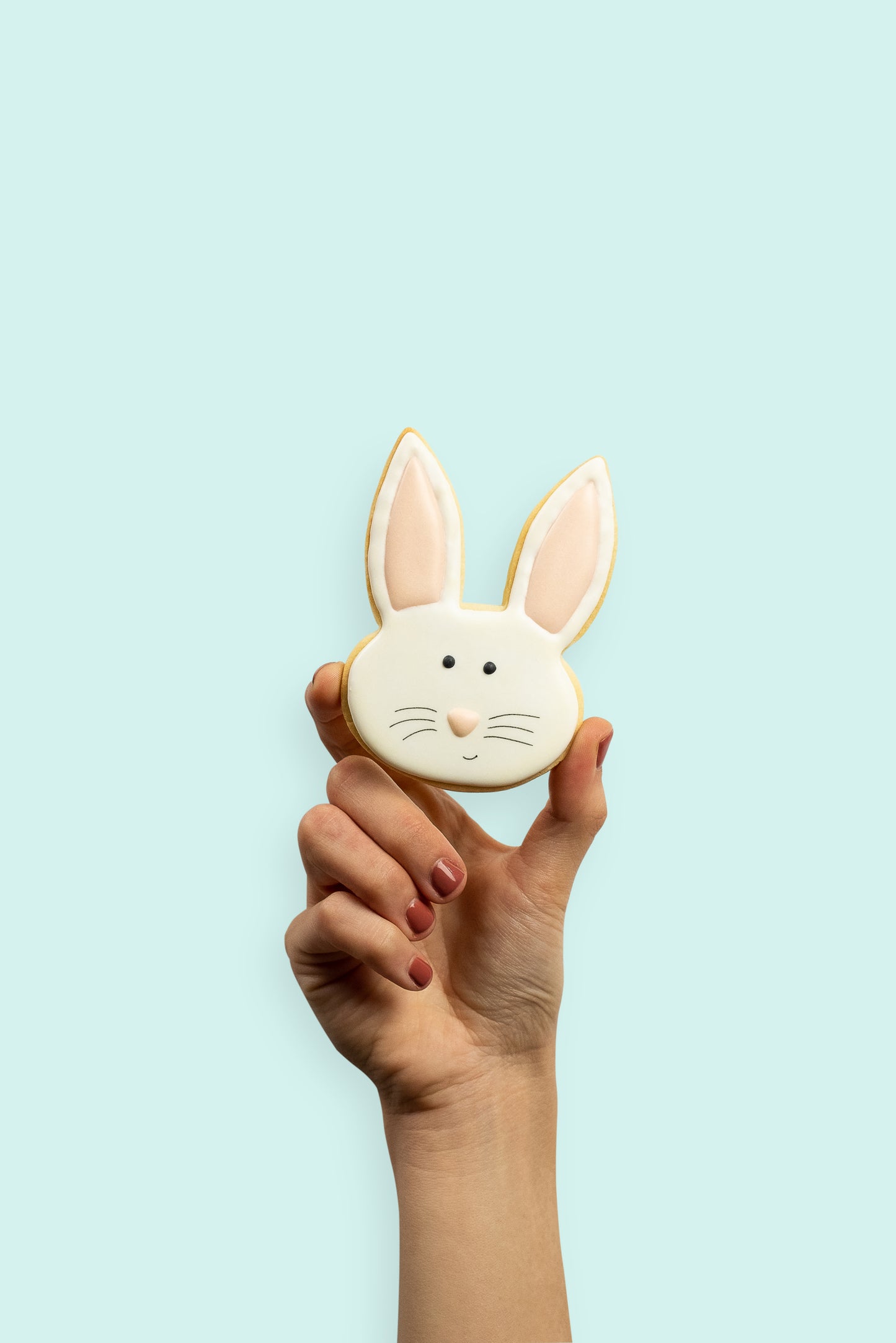 EASTER BUNNY & CARROTS COOKIES