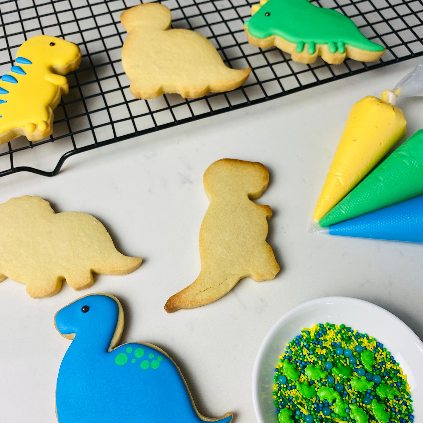 DINOSAUR DIY COOKIE DECORATING KIT