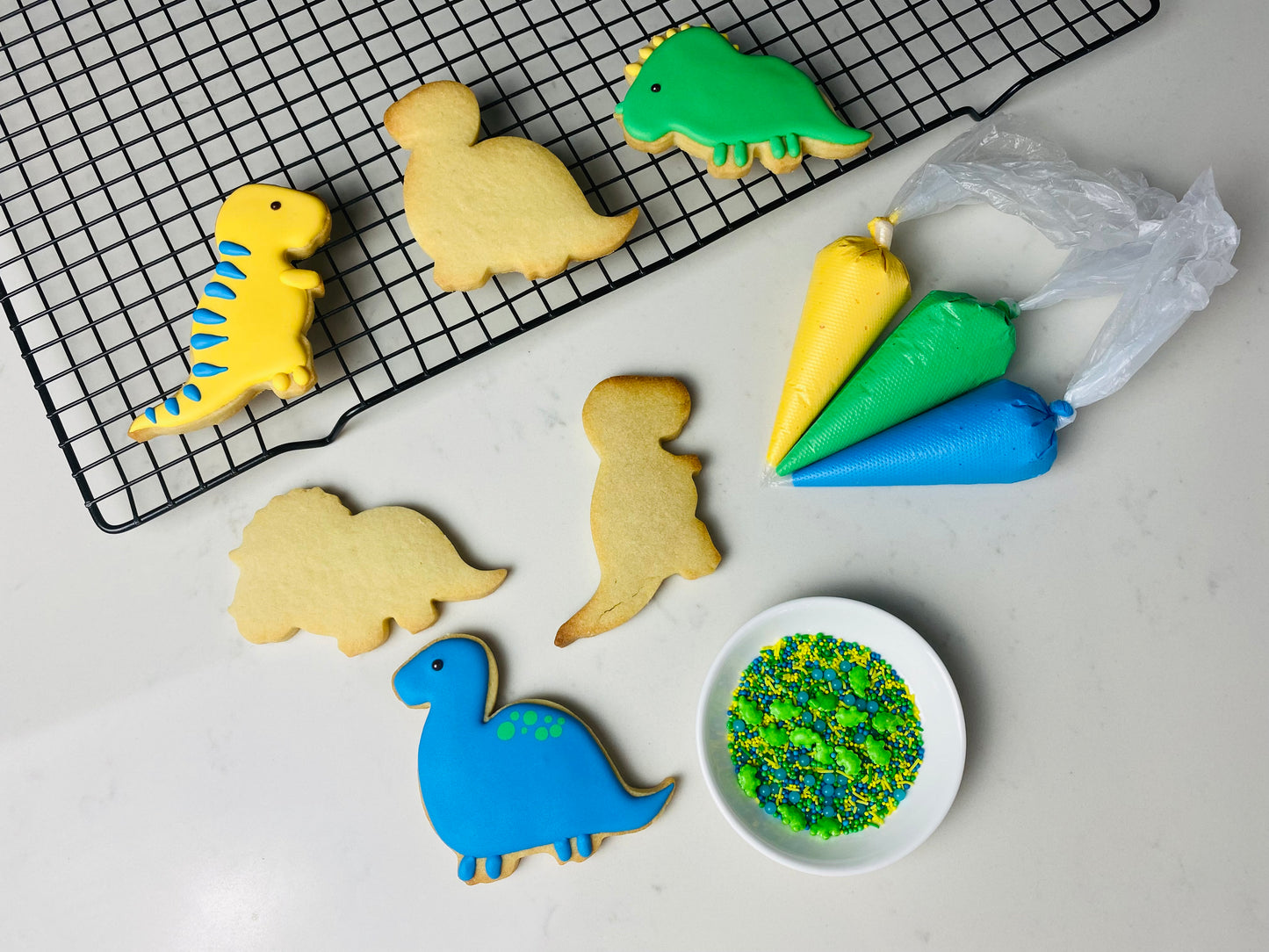 DINOSAUR DIY COOKIE DECORATING KIT